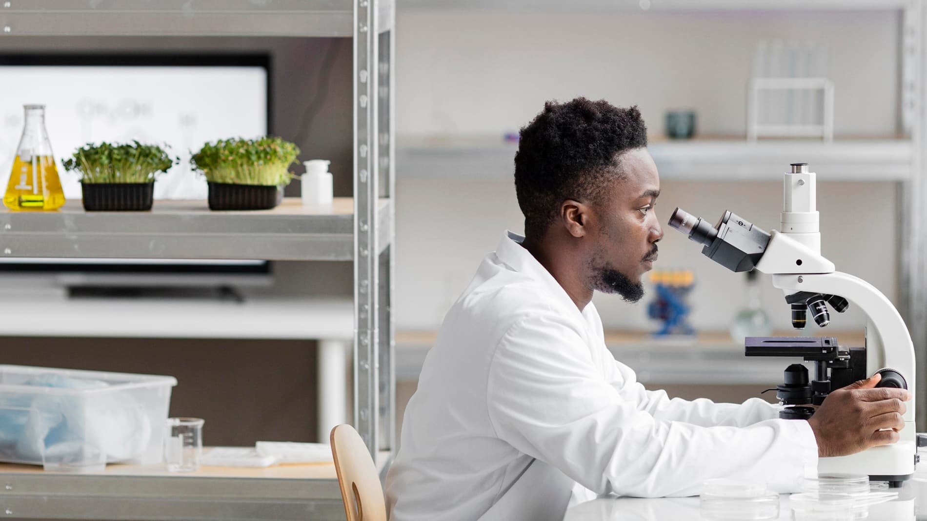 Desk with laptop, plant, coffee mug, and hands using a smartphone